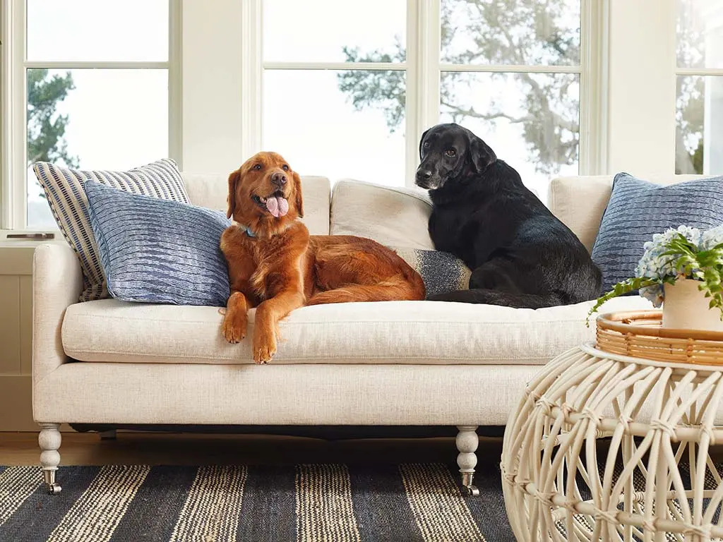 crypton designer dog beds