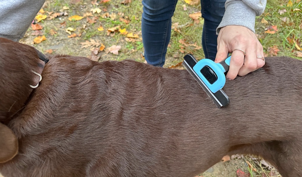 dakPets Deshedding Tool