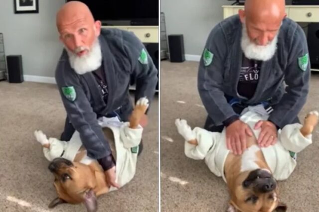 dog doing jiu-jitsu training with owner