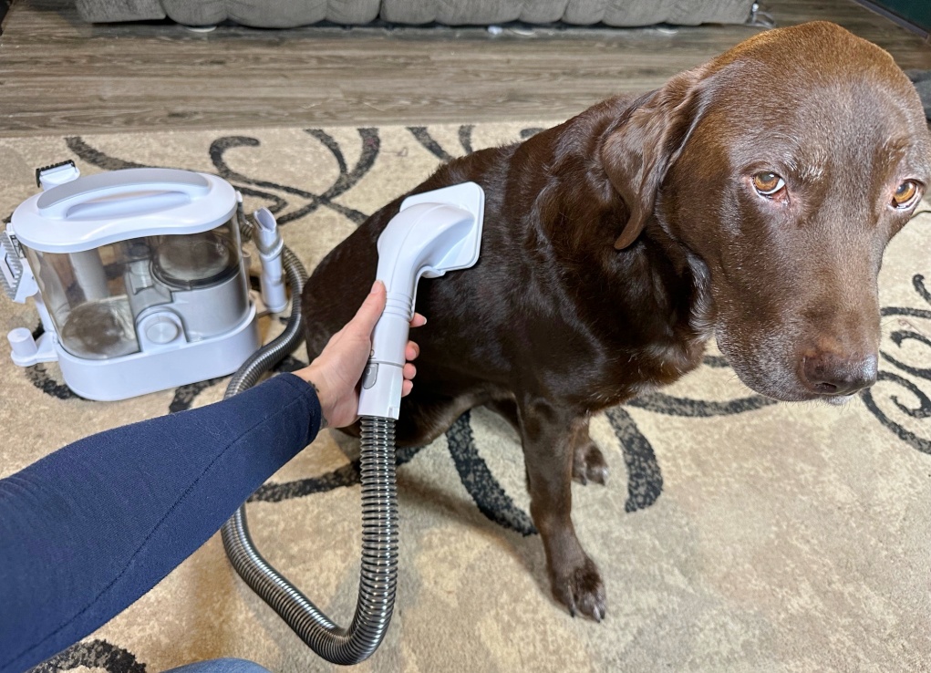 dog grooming vacuum