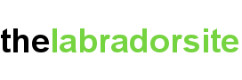 labrador site logo