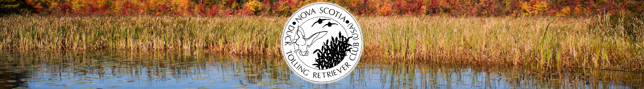 nsdtrc logo