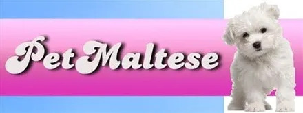 pet maltese logo