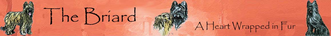 the briard logo