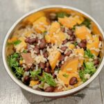 vegan dog food recipe